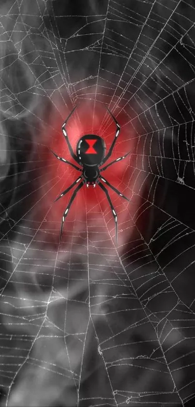 Black widow spider on web with red and black design.