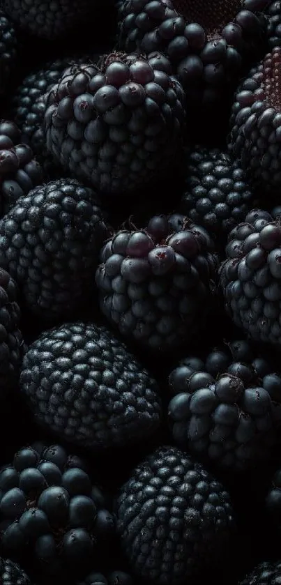 Close-up of fresh blackberries in a dark and vibrant mobile wallpaper.