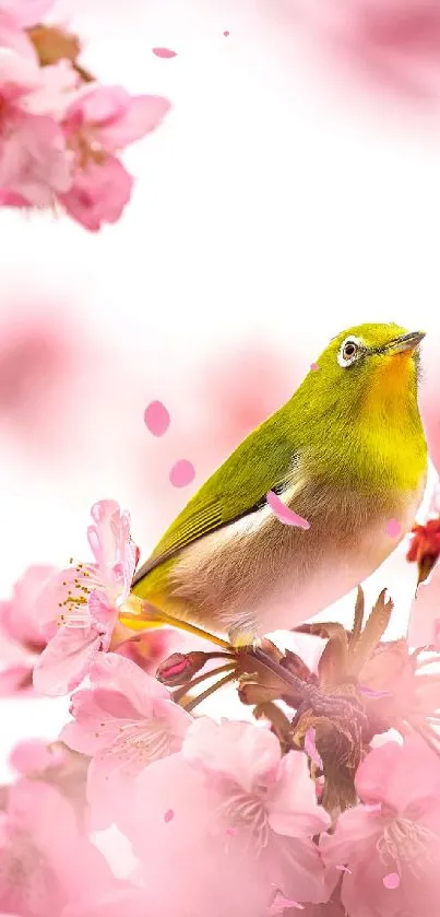 A vibrant bird perched among cherry blossoms.