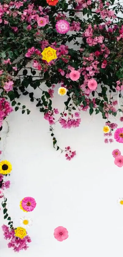 Pink bougainvillea cascading over a white wall, creating a serene mobile wallpaper.