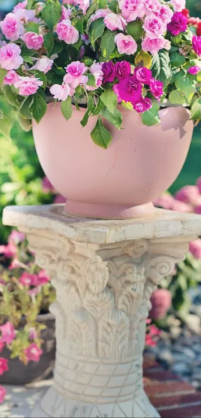 Vibrant pink and red flowers in a decorative pot.