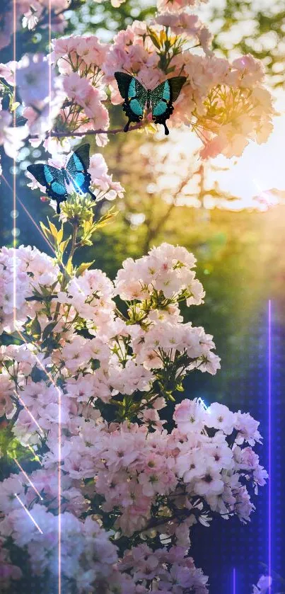 A serene wallpaper of pink flowers and butterflies.