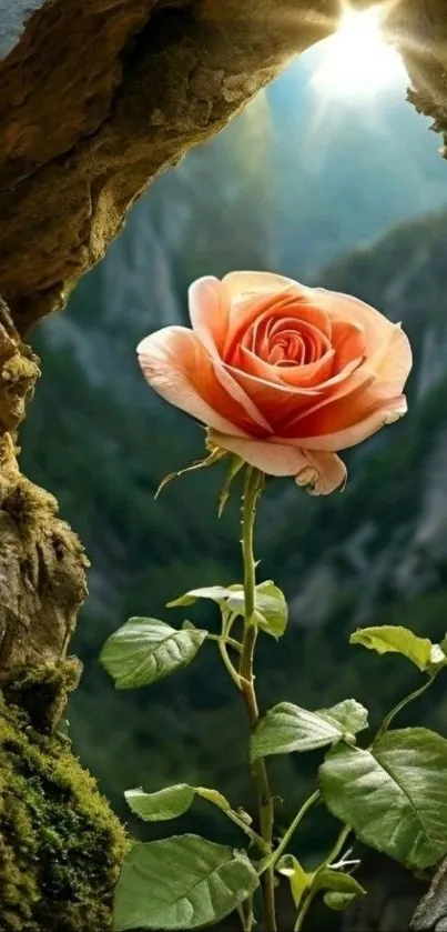 Sunlit rose blooming amidst natural landscape.