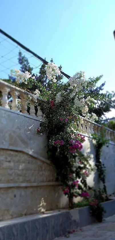 Vivid flowers cascade over a stone wall under a clear blue sky.