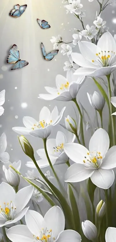 White flowers and butterflies on gray background wallpaper.