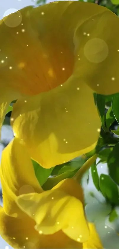 Close-up of bright yellow flowers with sunlight and greenery.