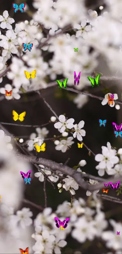 White blossoms and colorful butterflies on branches.