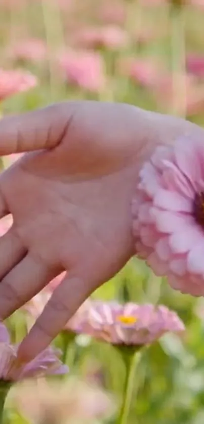 Hand gently touching pink flowers in a vibrant meadow wallpaper.