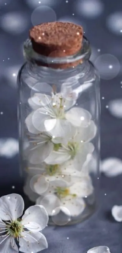 White blossoms in a glass jar on a gray background with petals.