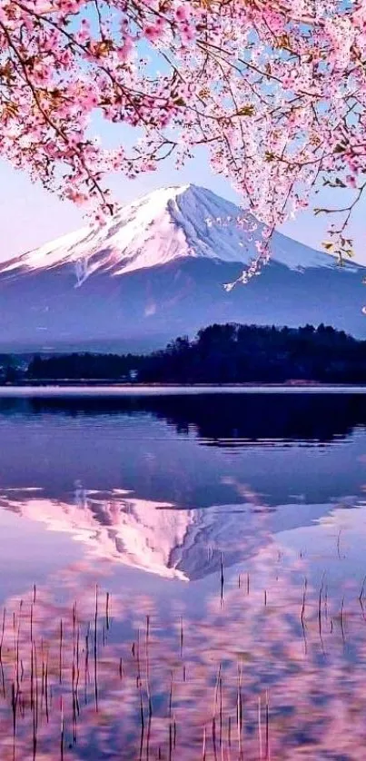 Cherry blossoms over mountain reflected in calm lake.