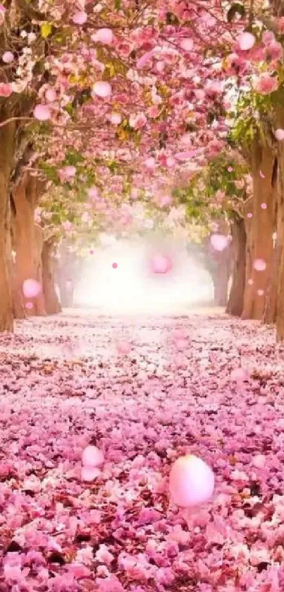 Pathway lined with pink blossoms and trees.