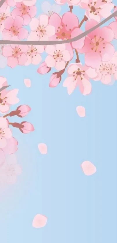 Cherry blossom mobile wallpaper with pink flowers on a blue background.