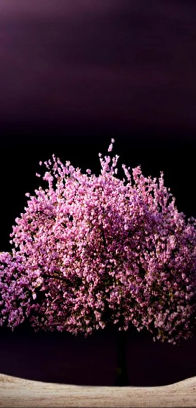 Cherry blossom tree with pink flowers against a purple sky.