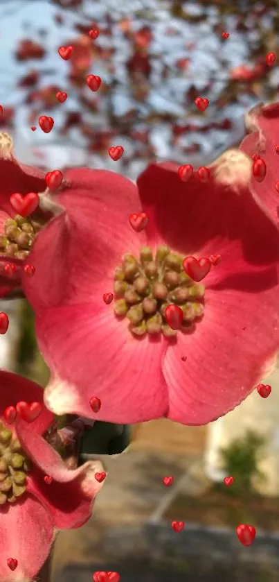 Pink flowers with red hearts wallpaper.