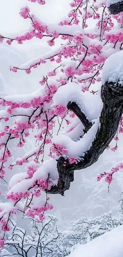 Snowy tree with pink blossoms in winter landscape.