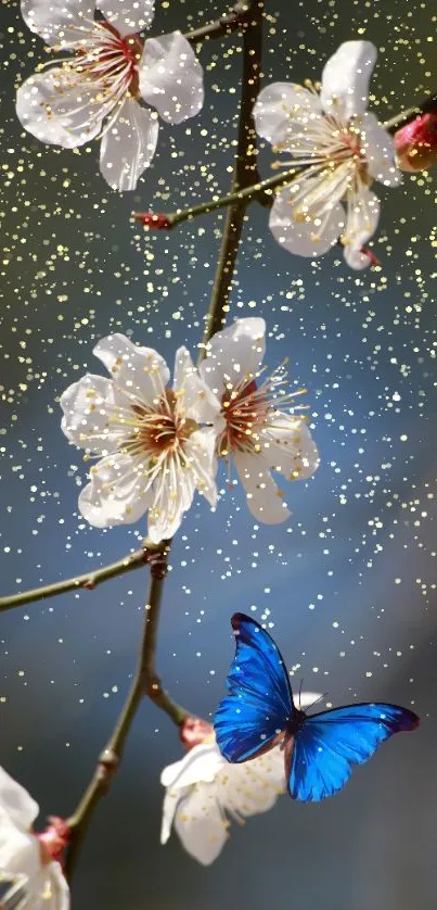 Blue butterfly with cherry blossoms on a shimmering golden background.