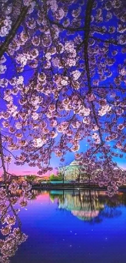 Cherry blossoms over a serene blue lake at sunset.