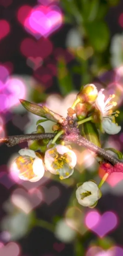 Blossoms with heart-shaped pink bokeh on a dark background.