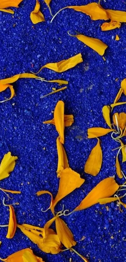 Vibrant orange petals scattered on deep blue background wallpaper.