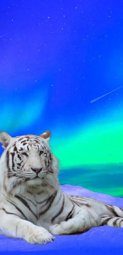 White tiger under blue aurora night sky mobile wallpaper.