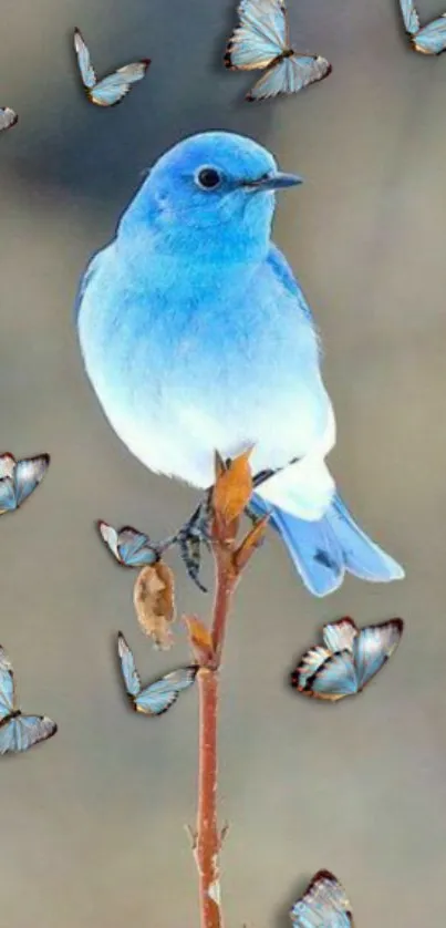 Blue bird perched, surrounded by butterflies on a serene background.