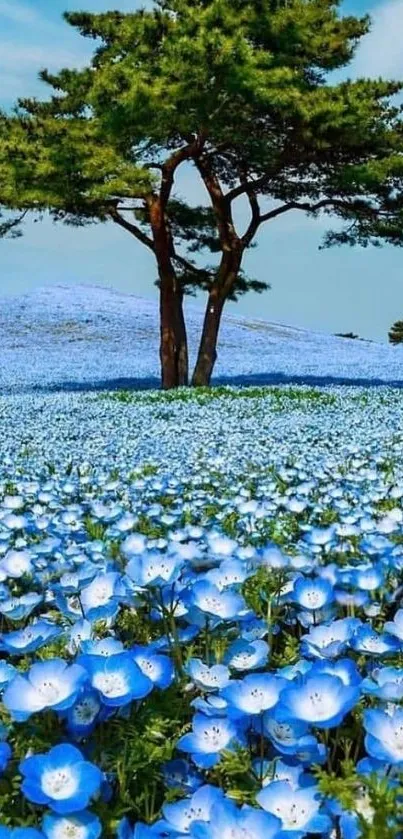 Serene field of blue flowers with a tree.