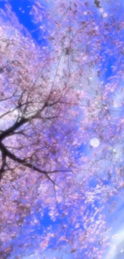 Blue Branch Flower Live Wallpaper