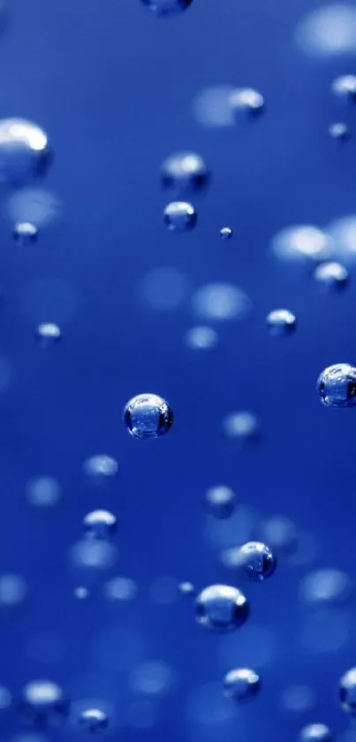 Vibrant blue wallpaper with floating bubbles.