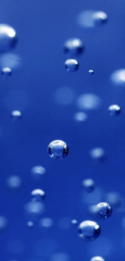 Mobile wallpaper featuring blue bubbles on a serene background.