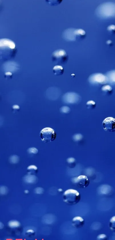 Blue bubbles floating on phone wallpaper background