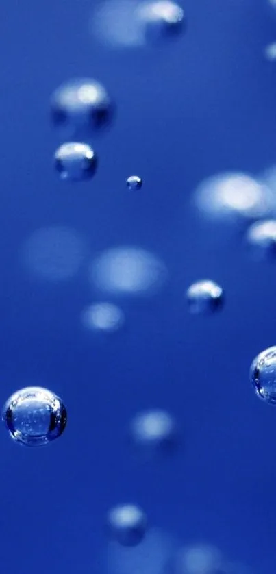 Vibrant blue mobile wallpaper featuring floating bubbles on a serene backdrop.