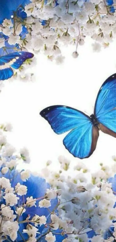 Blue butterflies flutter among white flowers on a bright floral wallpaper.