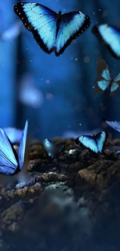 Blue butterflies on a textured background, night theme.