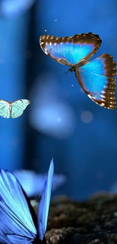 Blue butterflies gracefully flying over a blurred, dreamy background.