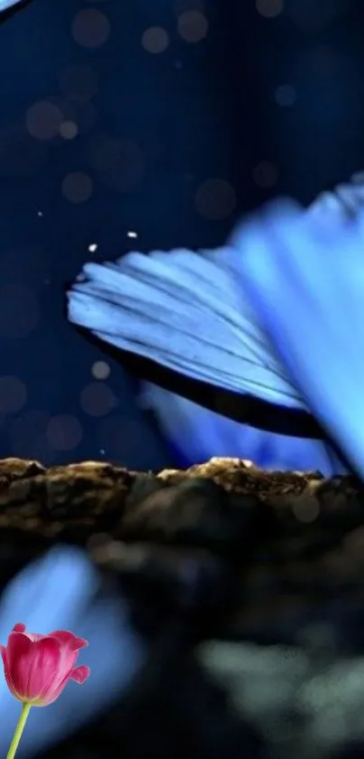 Blue butterflies and pink flower on a dark background.