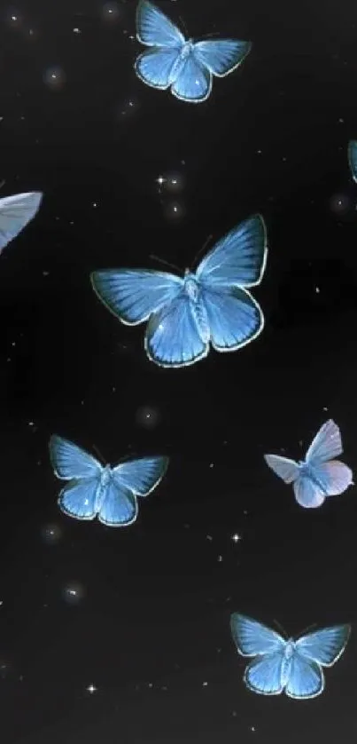 Graceful blue butterflies on a black background, enhancing elegance and serenity.