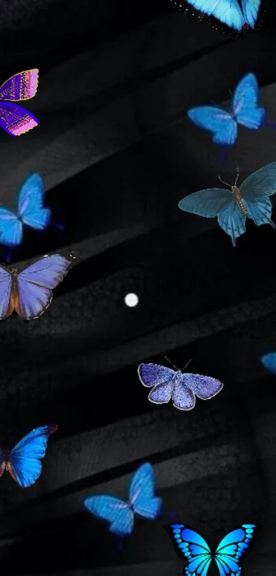 Blue butterflies on a dark textured background wallpaper.