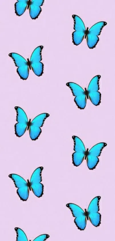 Vibrant blue butterflies on lilac wallpaper.