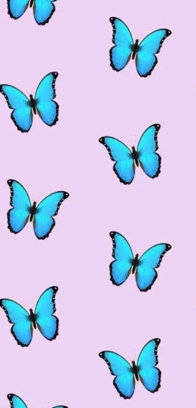 Blue butterflies on a lilac background wallpaper, perfect for mobile screens.