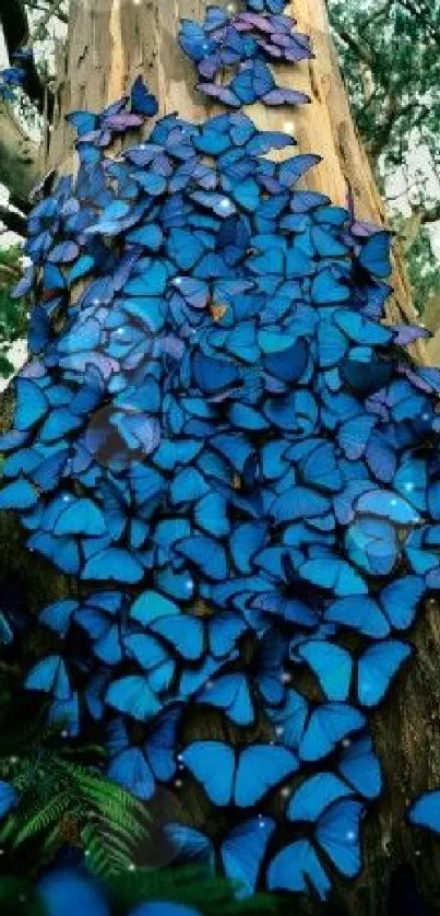 Blue butterflies cover a tree, creating a vibrant natural phone wallpaper.