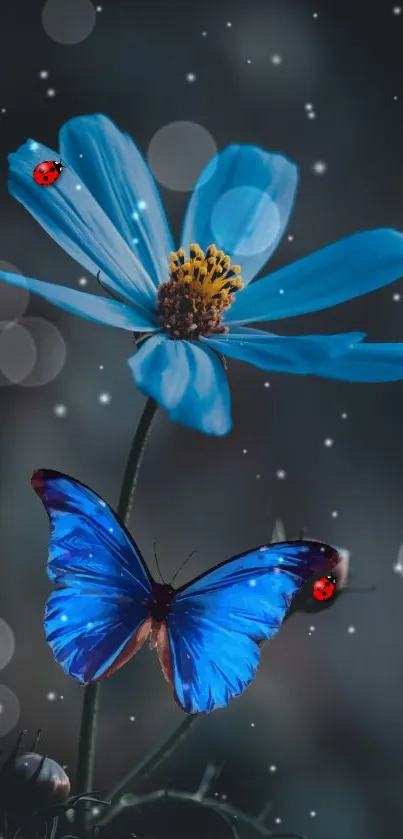 Blue butterfly and flower on bokeh background.