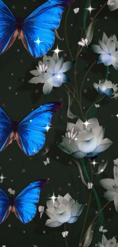 Blue butterflies and white lotus on dark background wallpaper.