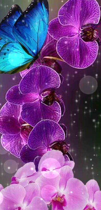 Vibrant blue butterfly on pink orchids wallpaper.