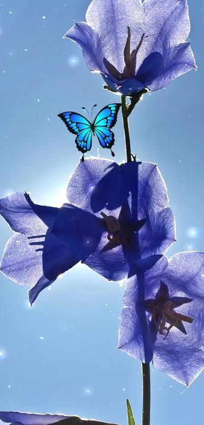 Blue butterfly and purple flowers under sunny sky.