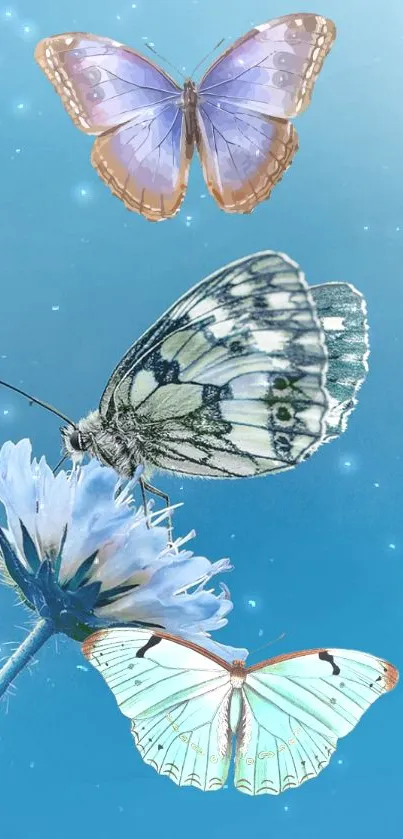 Three butterflies with blue flower on sky background wallpaper.