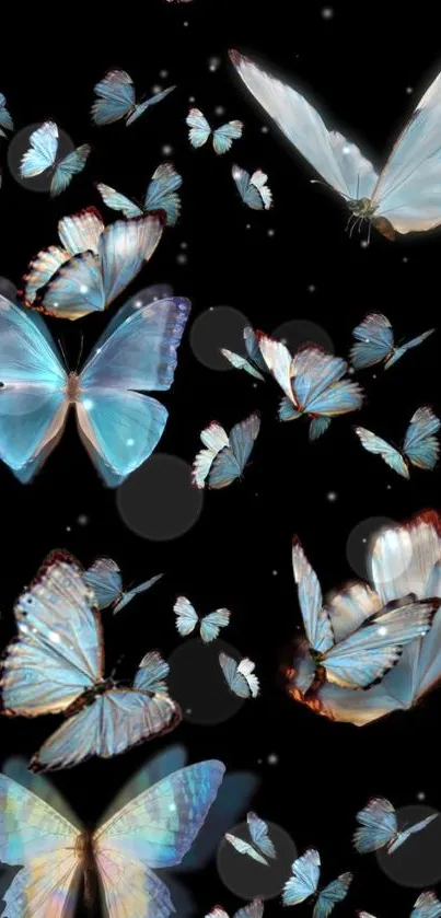 Enchanting blue butterflies on a starry black background wallpaper.