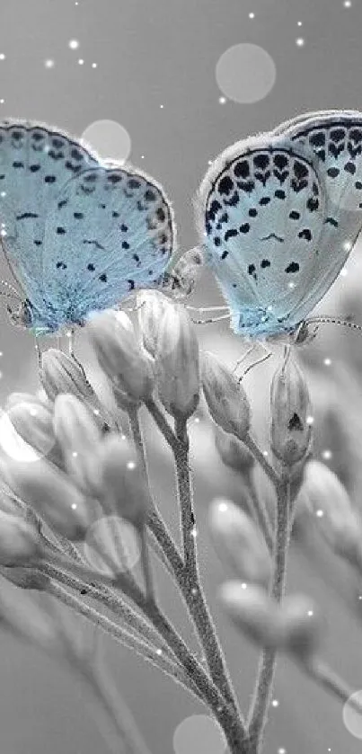 Blue butterflies resting on branches in a nature-inspired wallpaper.