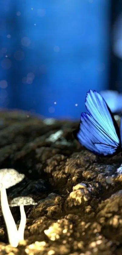 A blue butterfly on glowing mushrooms in a magical, dark forest scene.