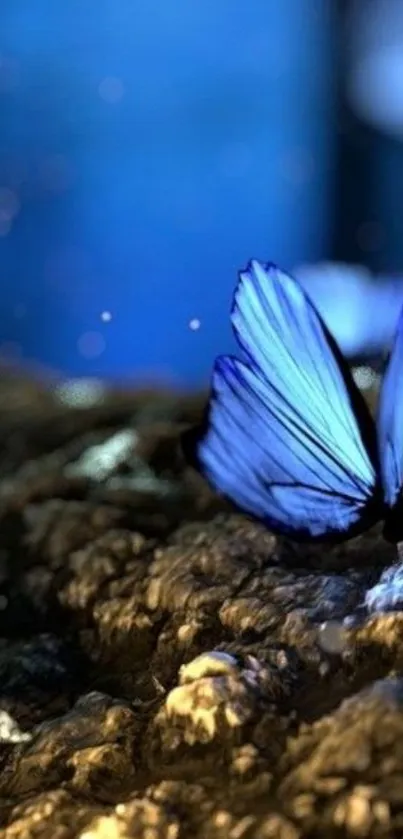 A blue butterfly resting on earthy textures in a mystical scene.