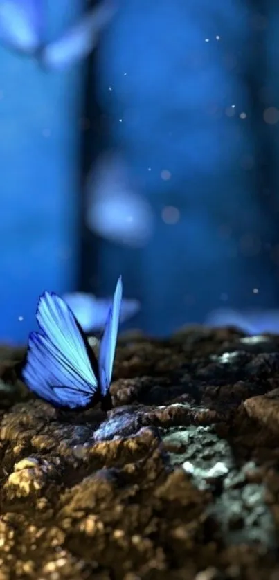 Blue butterfly resting in fantasy forest.